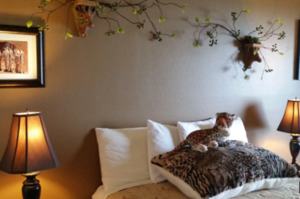 Signature Queen (0 Pet - Adult Only) Photo 1